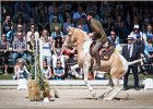 Pferd International 126